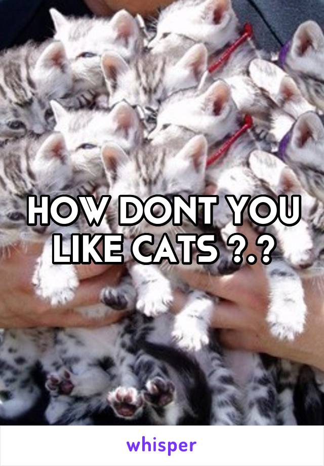 HOW DONT YOU LIKE CATS >.<