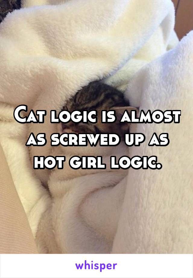 Cat logic is almost as screwed up as hot girl logic.