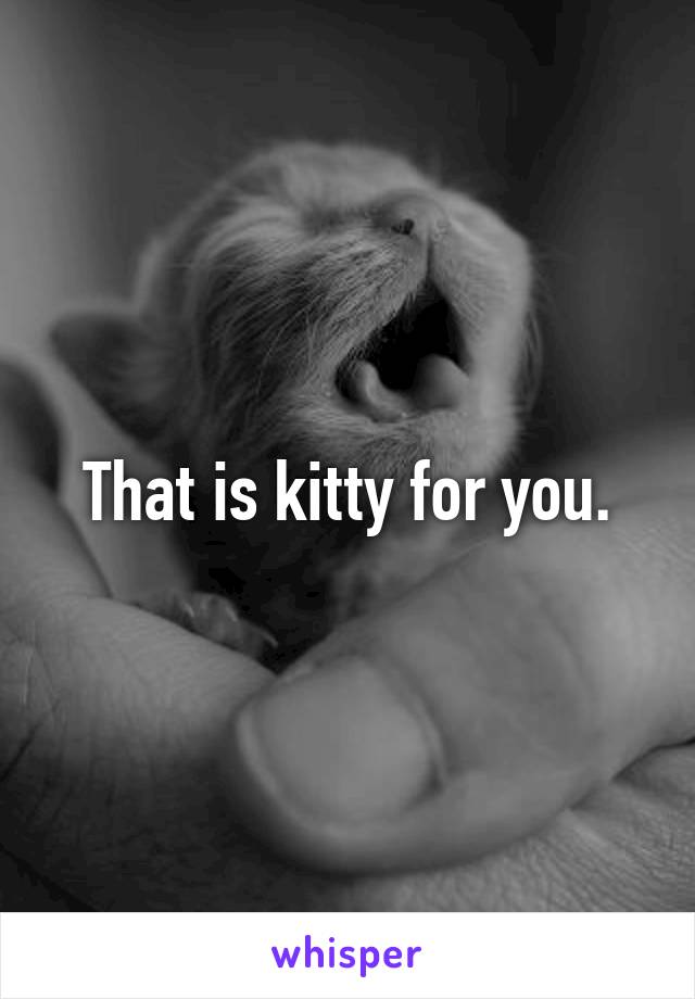 That is kitty for you.