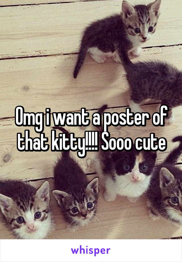 Omg i want a poster of that kitty!!!! Sooo cute