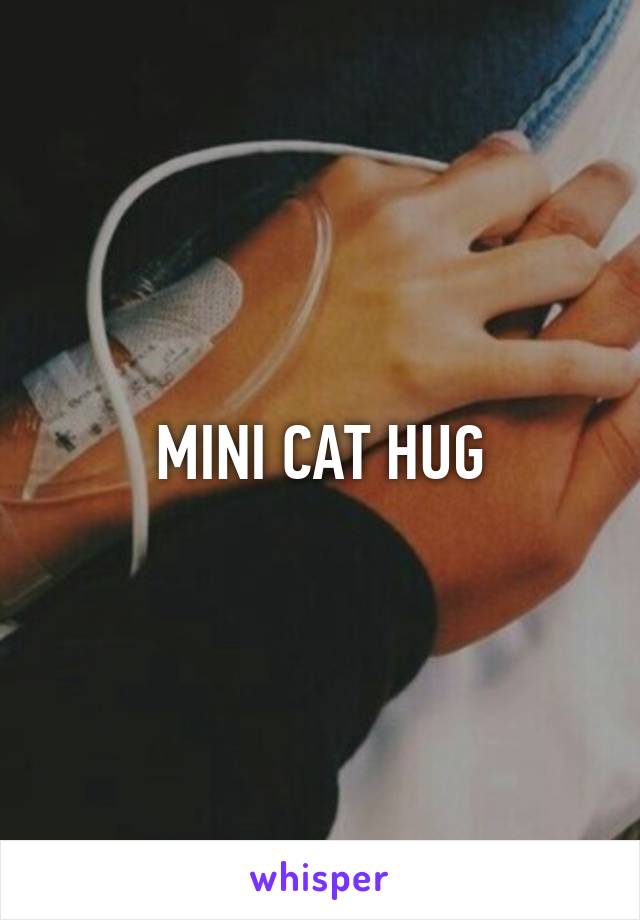 MINI CAT HUG