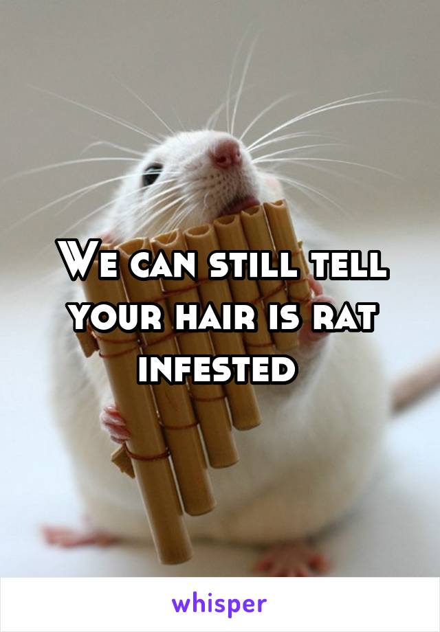 We can still tell your hair is rat infested 
