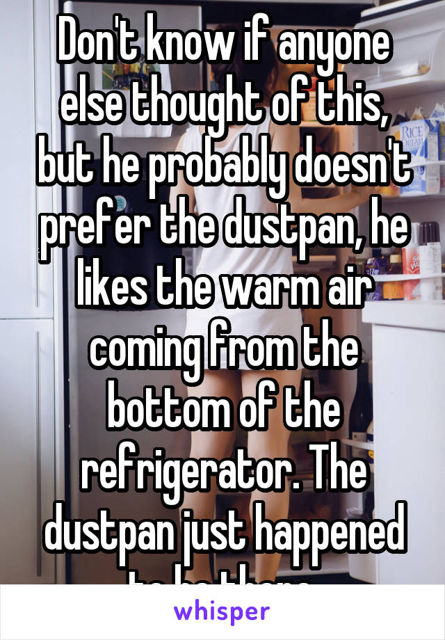 Don't know if anyone else thought of this, but he probably doesn't prefer the dustpan, he likes the warm air coming from the bottom of the refrigerator. The dustpan just happened to be there.