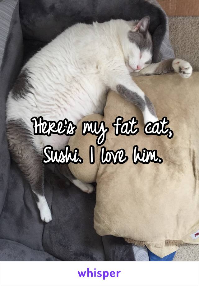 Here's my fat cat, Sushi. I love him.