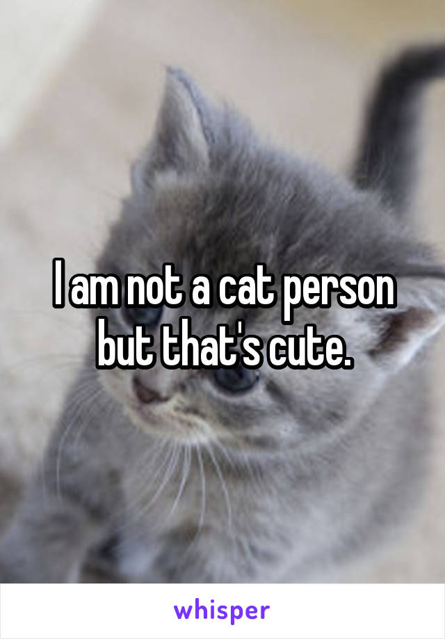 I am not a cat person but that's cute.