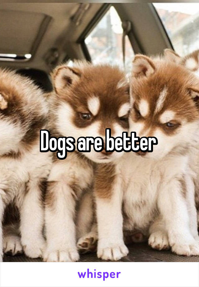 Dogs are better 