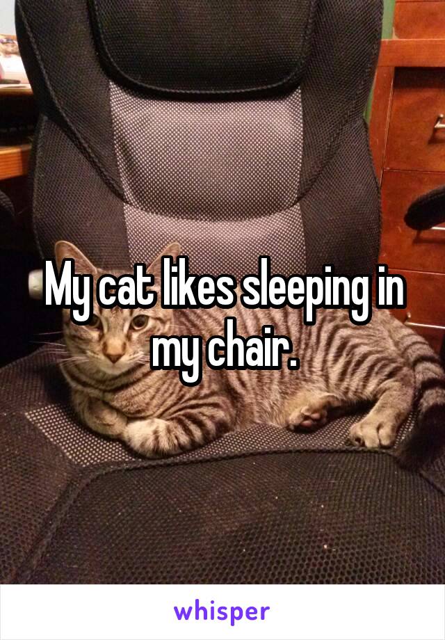 My cat likes sleeping in my chair.