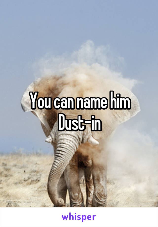 You can name him Dust-in