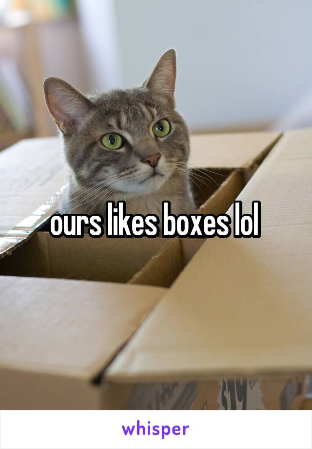 ours likes boxes lol 