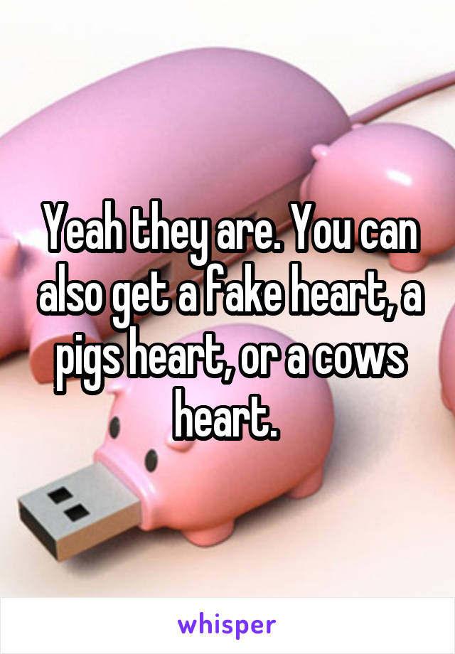 Yeah they are. You can also get a fake heart, a pigs heart, or a cows heart. 