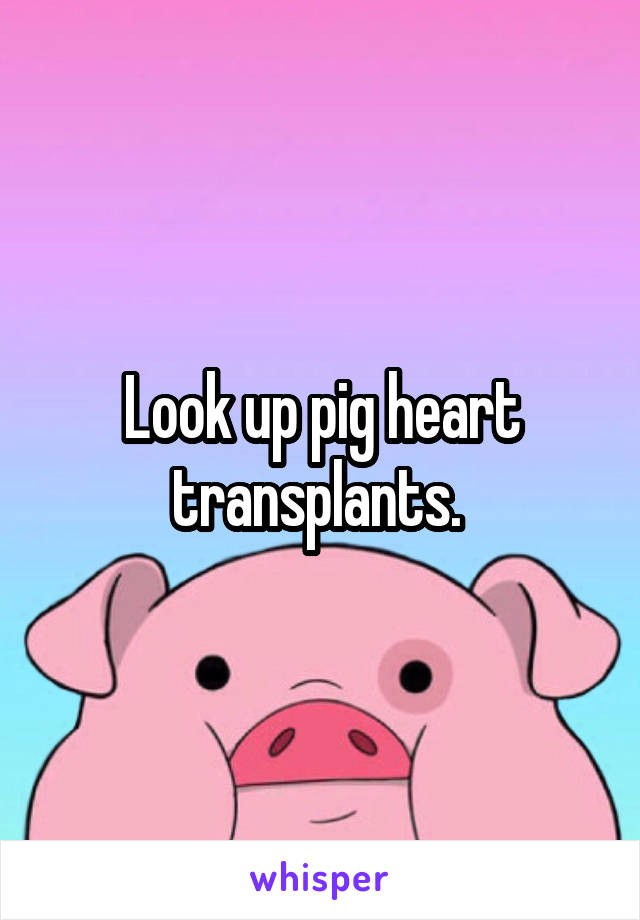 Look up pig heart transplants. 