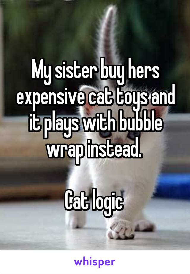 My sister buy hers expensive cat toys and it plays with bubble wrap instead. 

Cat logic 