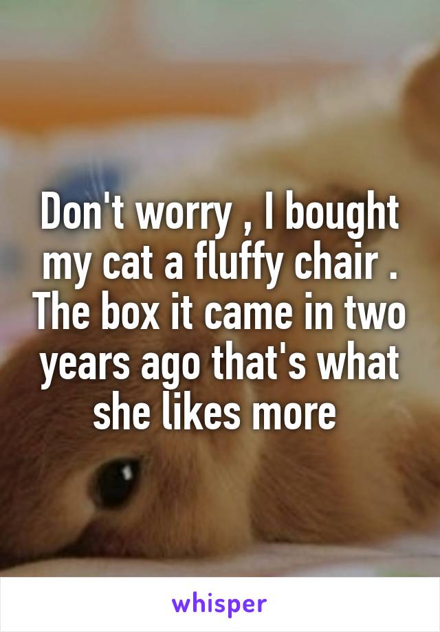 Don't worry , I bought my cat a fluffy chair . The box it came in two years ago that's what she likes more 