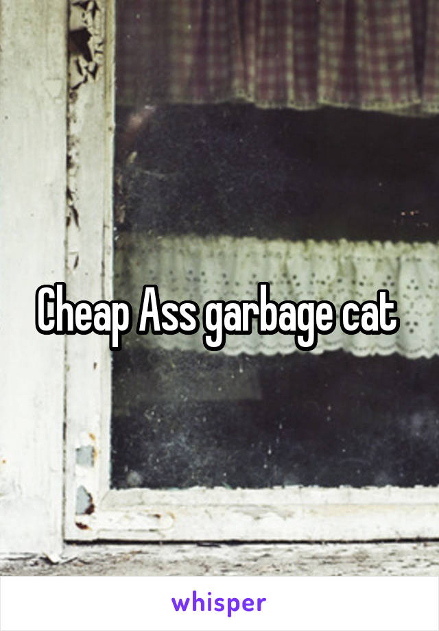 Cheap Ass garbage cat 