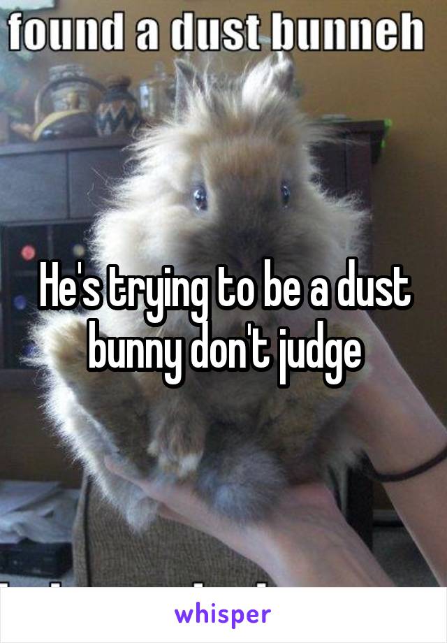 He's trying to be a dust bunny don't judge