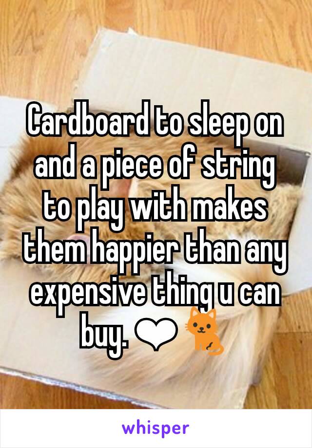 Cardboard to sleep on and a piece of string to play with makes them happier than any expensive thing u can buy. ❤🐈