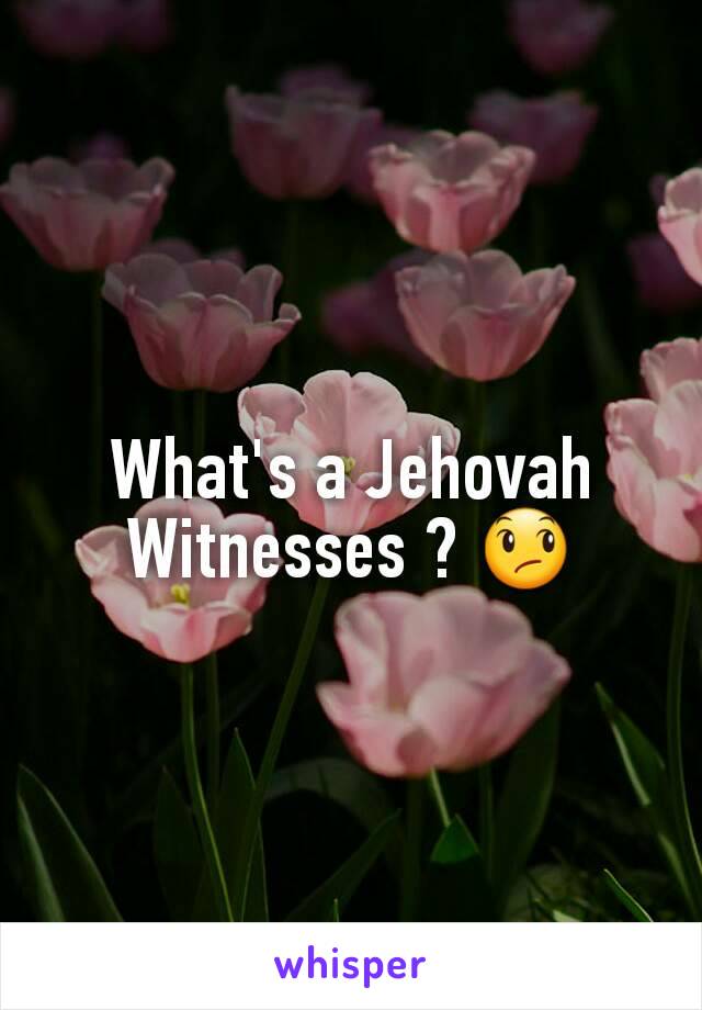 What's a Jehovah Witnesses ? 😞