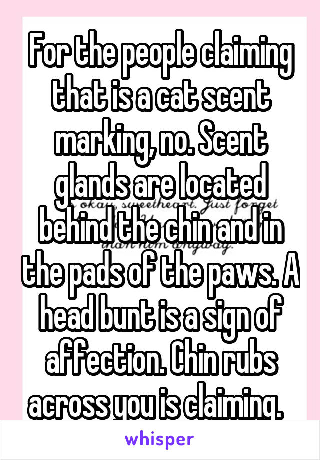 For the people claiming that is a cat scent marking, no. Scent glands are located behind the chin and in the pads of the paws. A head bunt is a sign of affection. Chin rubs across you is claiming.  