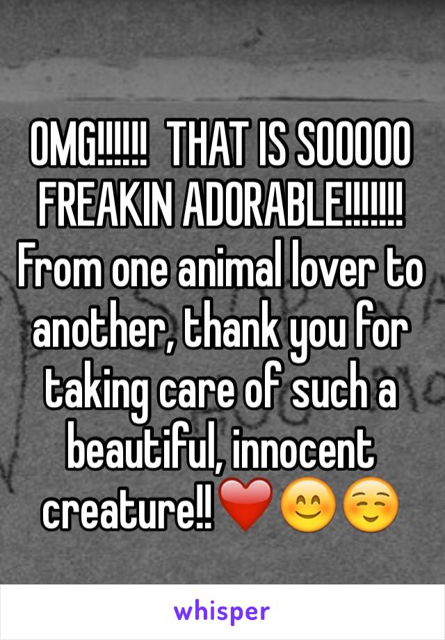 OMG!!!!!!  THAT IS SOOOOO FREAKIN ADORABLE!!!!!!!  From one animal lover to another, thank you for taking care of such a beautiful, innocent creature!!❤️😊☺️