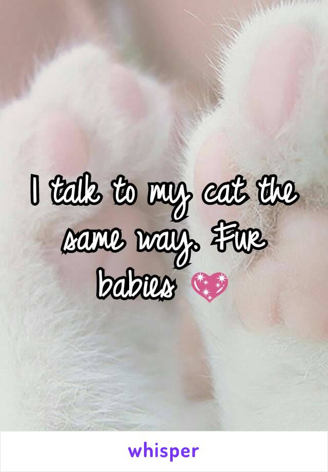 I talk to my cat the same way. Fur babies 💖