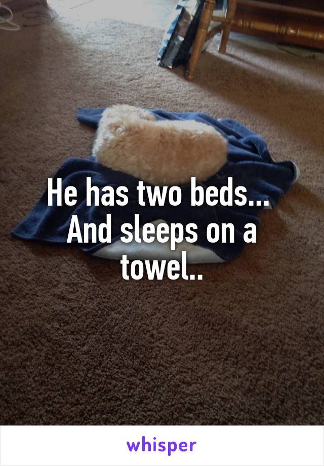 He has two beds... 
And sleeps on a towel..