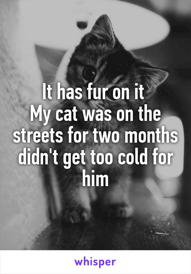 It has fur on it 
My cat was on the streets for two months didn't get too cold for him