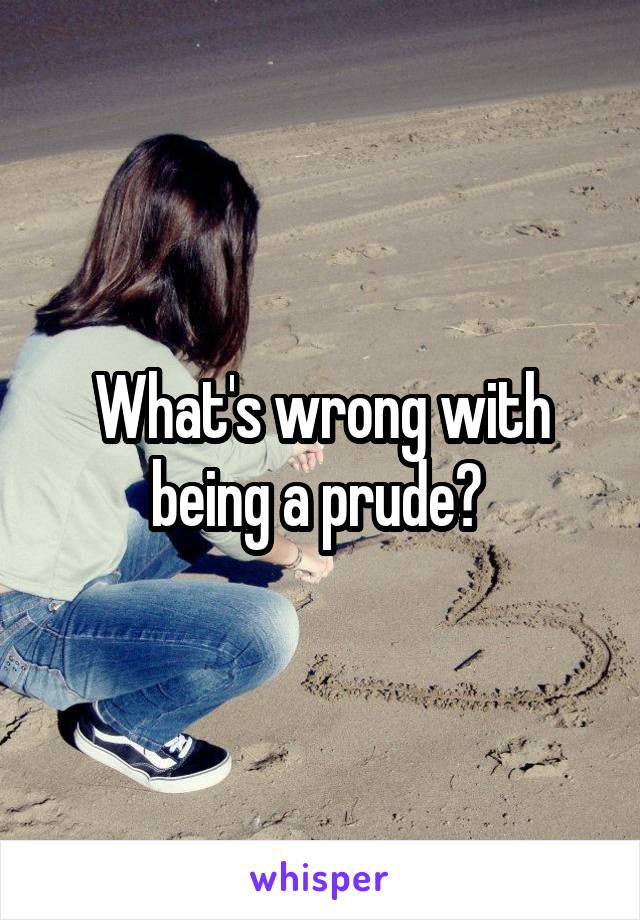 What's wrong with being a prude? 