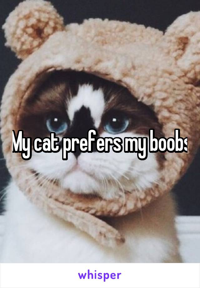 My cat prefers my boobs