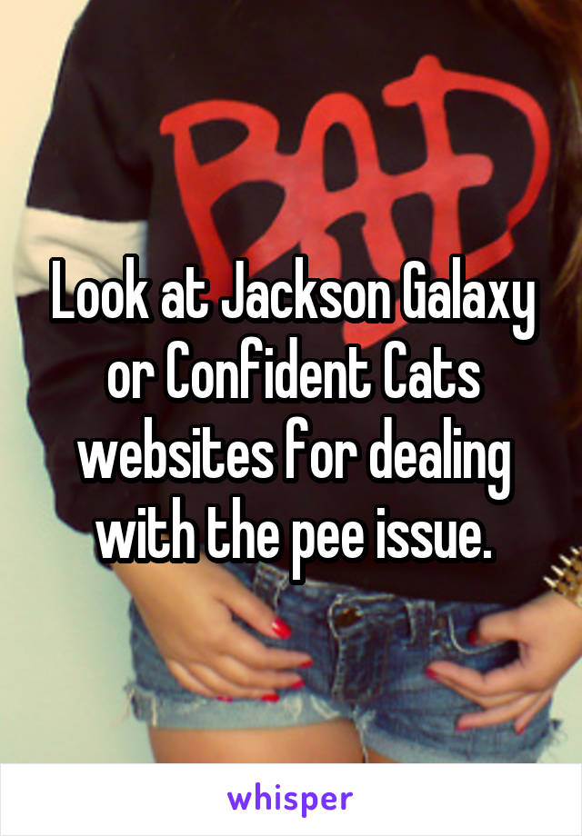 Look at Jackson Galaxy or Confident Cats websites for dealing with the pee issue.