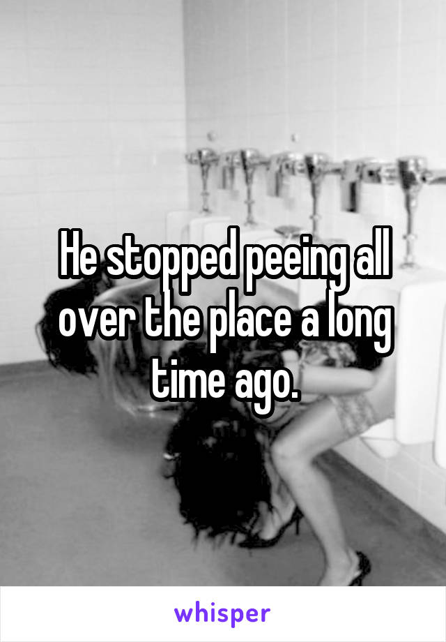 He stopped peeing all over the place a long time ago.