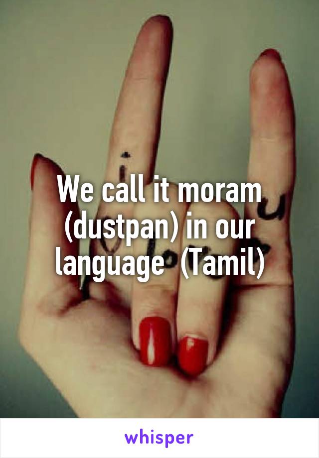 We call it moram (dustpan) in our language  (Tamil)