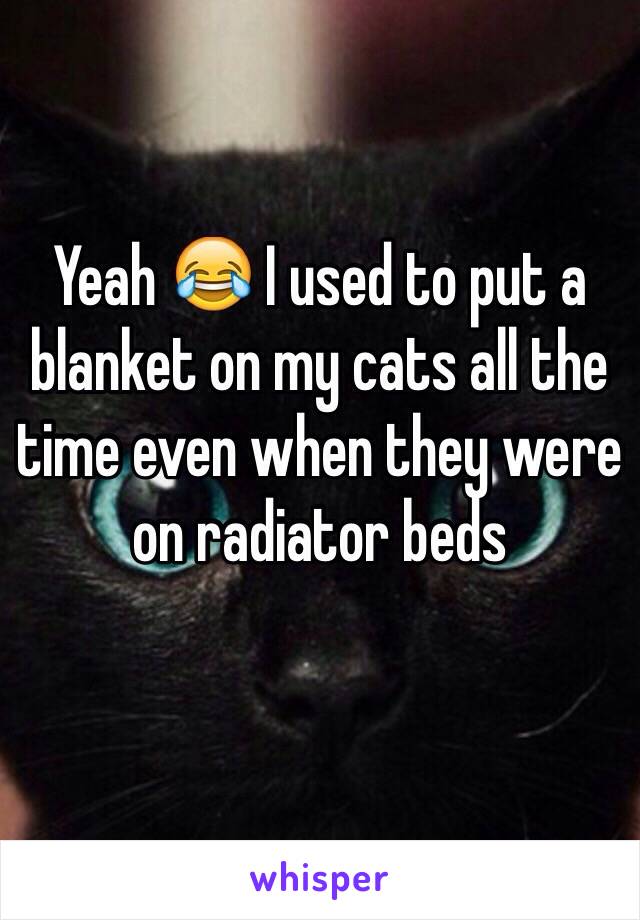 Yeah 😂 I used to put a blanket on my cats all the time even when they were on radiator beds 
