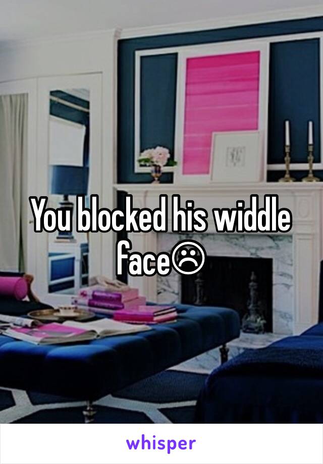 You blocked his widdle face☹