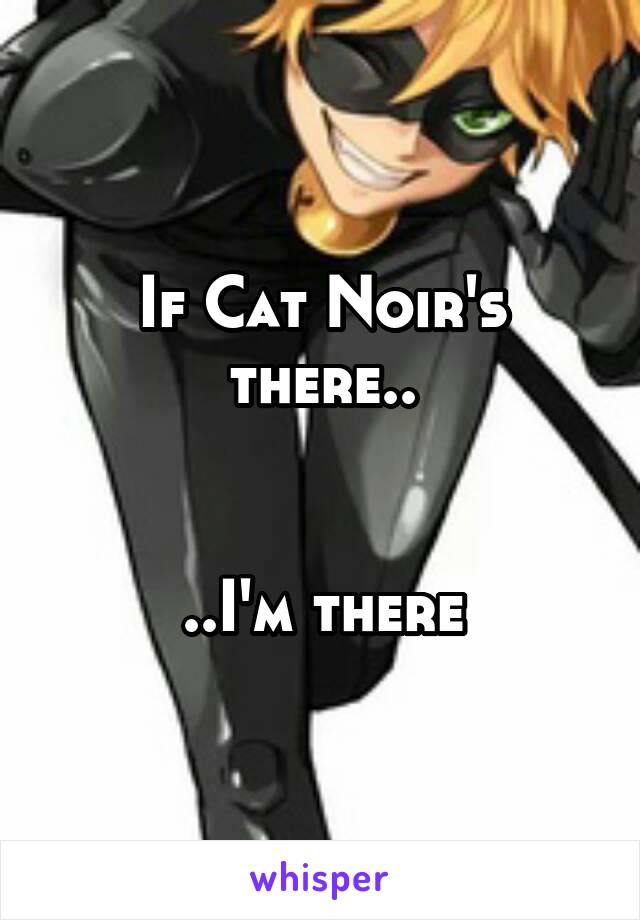 If Cat Noir's there..


..I'm there