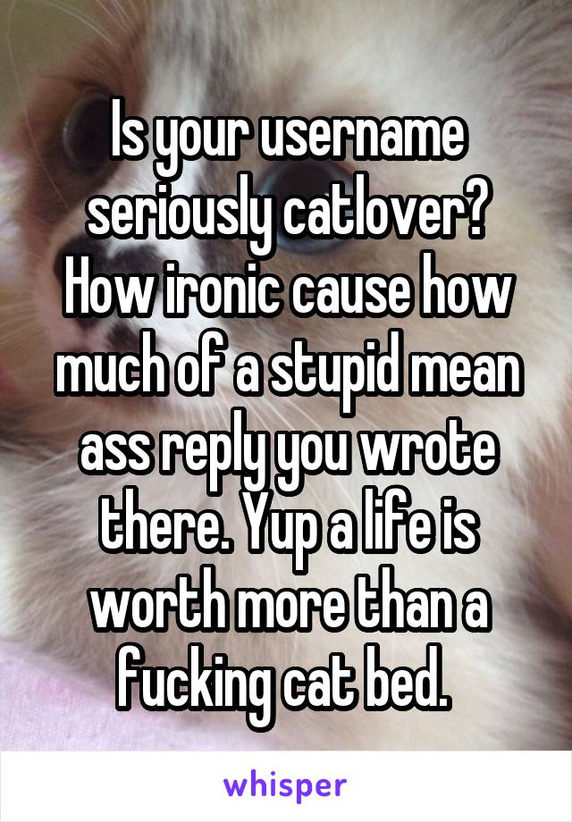 Is your username seriously catlover? How ironic cause how much of a stupid mean ass reply you wrote there. Yup a life is worth more than a fucking cat bed. 