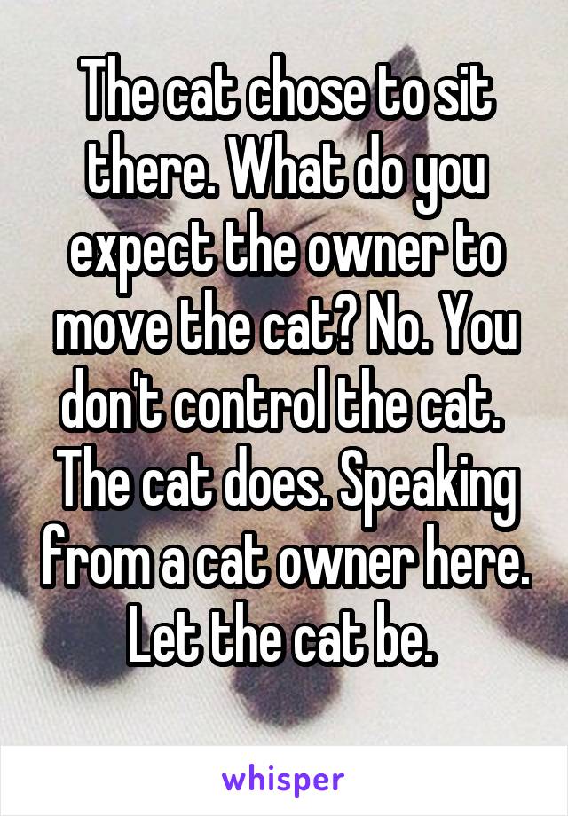 The cat chose to sit there. What do you expect the owner to move the cat? No. You don't control the cat.  The cat does. Speaking from a cat owner here. Let the cat be. 
