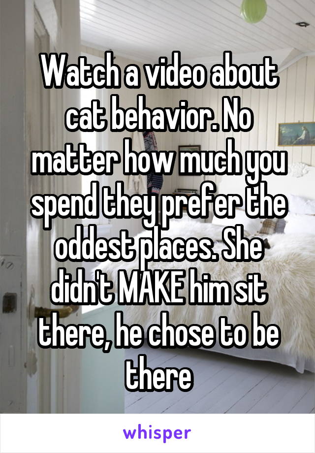 Watch a video about cat behavior. No matter how much you spend they prefer the oddest places. She didn't MAKE him sit there, he chose to be there