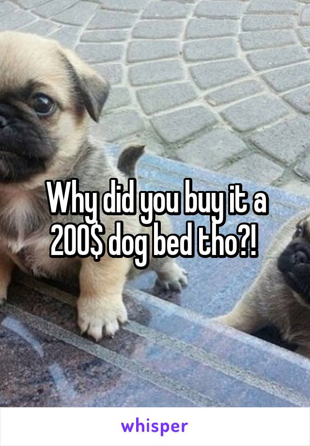 Why did you buy it a 200$ dog bed tho?! 