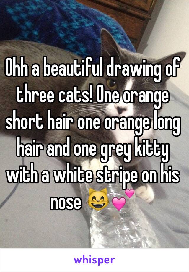 Ohh a beautiful drawing of three cats! One orange short hair one orange long hair and one grey kitty with a white stripe on his nose 😸💕