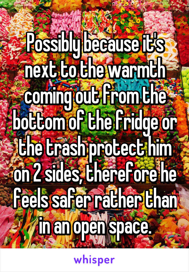 Possibly because it's next to the warmth coming out from the bottom of the fridge or the trash protect him on 2 sides, therefore he feels safer rather than in an open space.