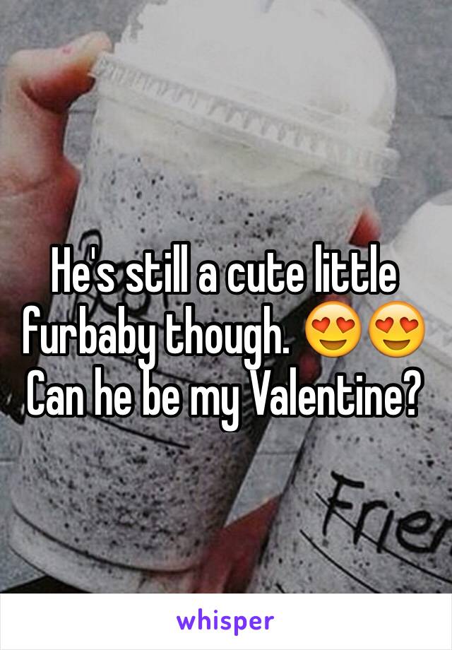 He's still a cute little furbaby though. 😍😍 Can he be my Valentine?