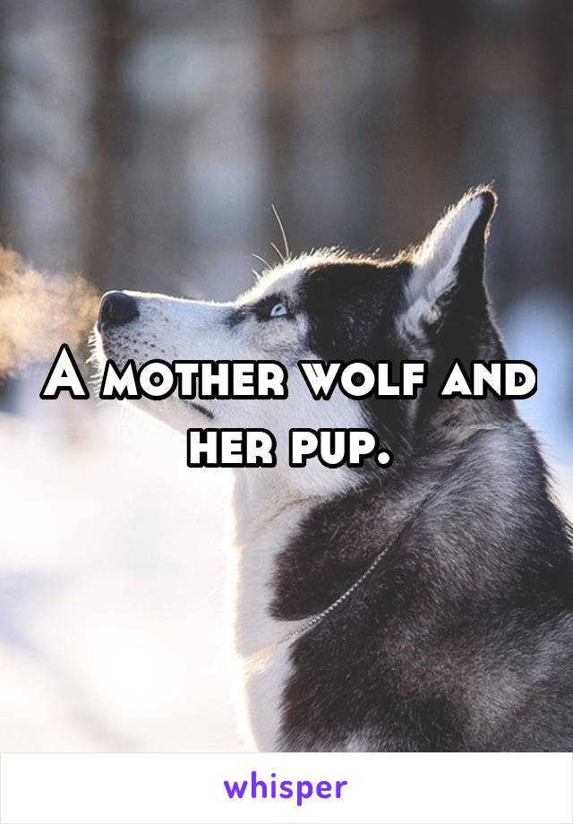 A mother wolf and her pup.