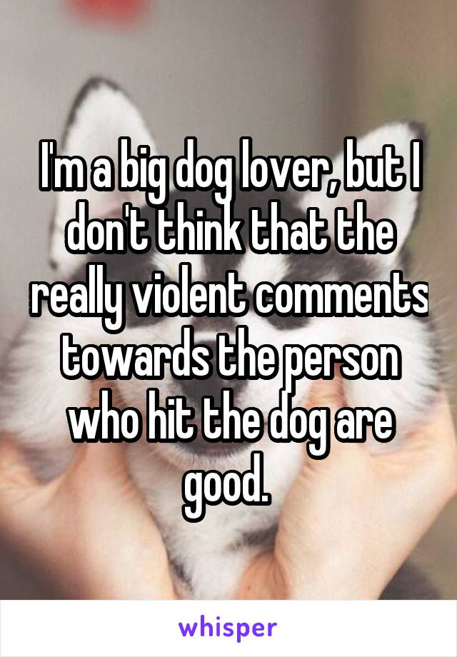 I'm a big dog lover, but I don't think that the really violent comments towards the person who hit the dog are good. 