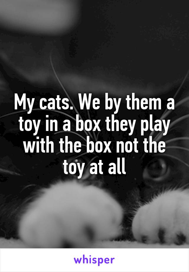 My cats. We by them a toy in a box they play with the box not the toy at all