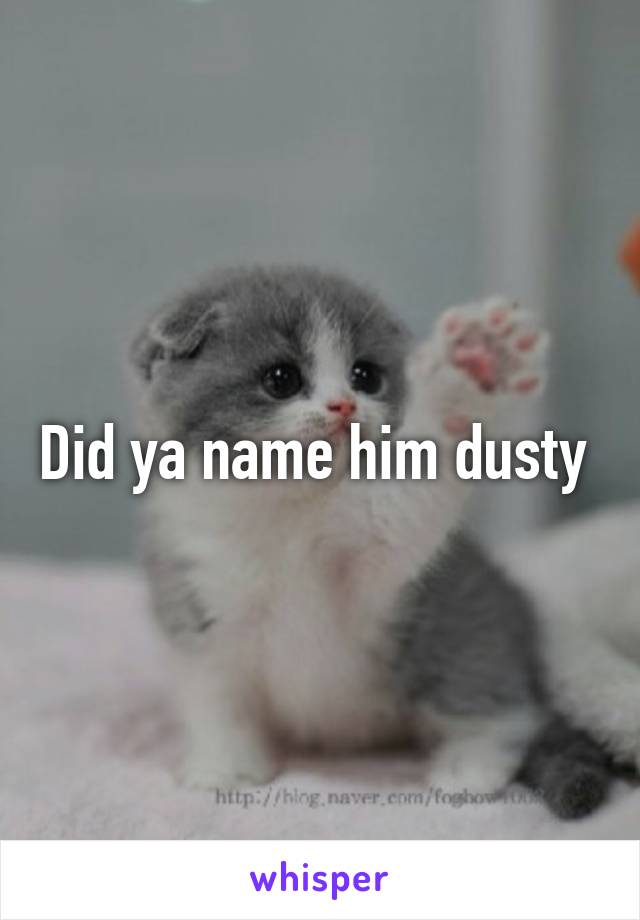 Did ya name him dusty 