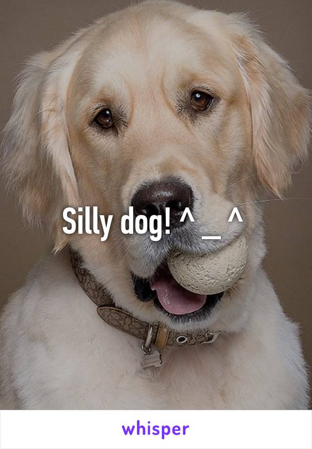 Silly dog! ^ _ ^ 