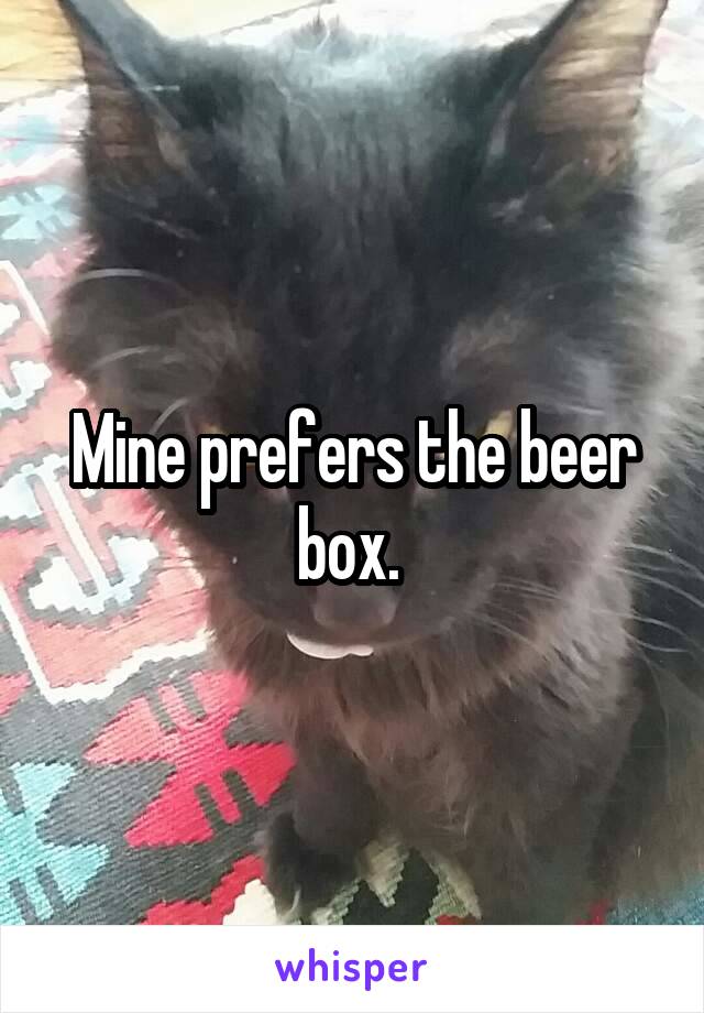 Mine prefers the beer box. 