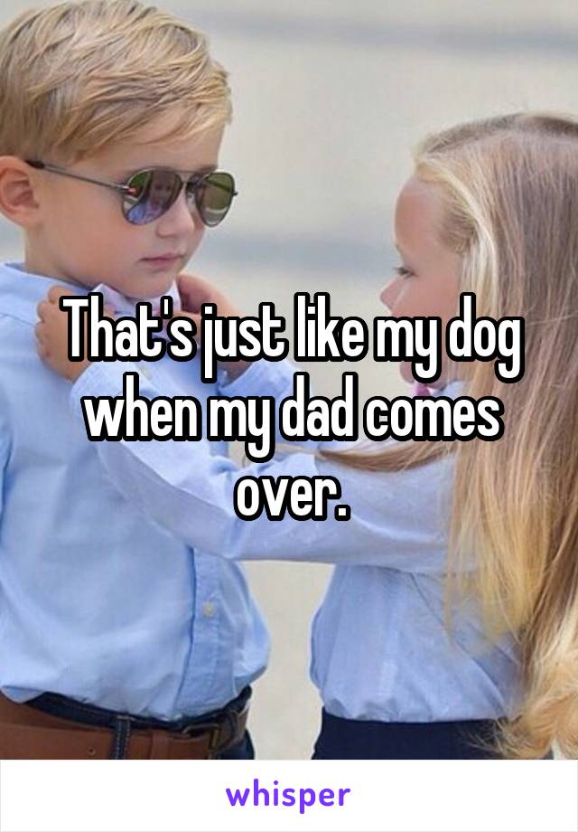That's just like my dog when my dad comes over.