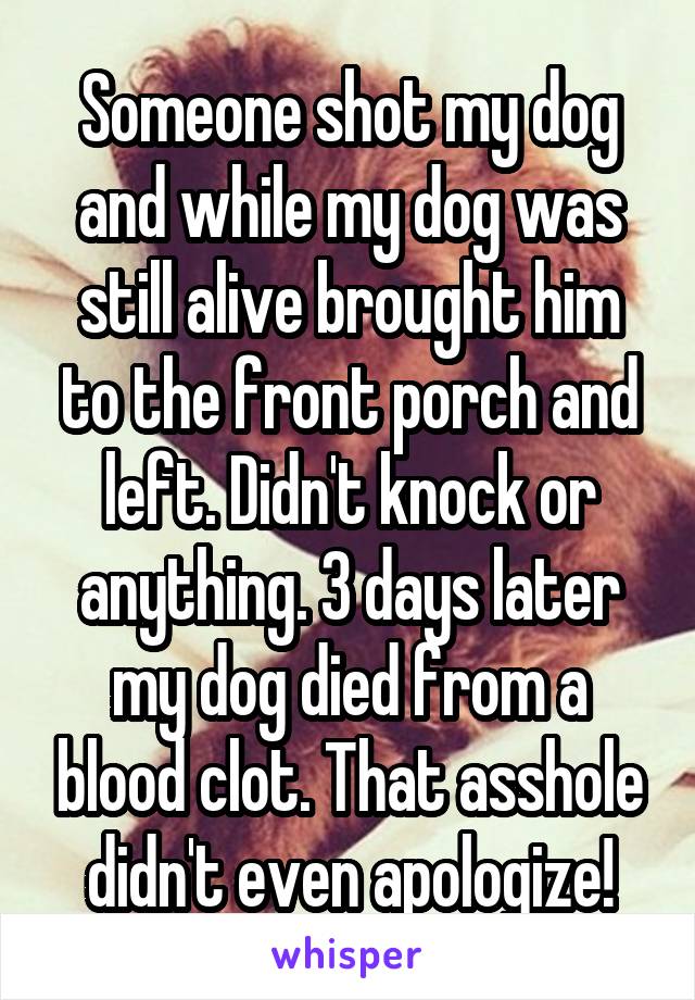 Someone shot my dog and while my dog was still alive brought him to the front porch and left. Didn't knock or anything. 3 days later my dog died from a blood clot. That asshole didn't even apologize!