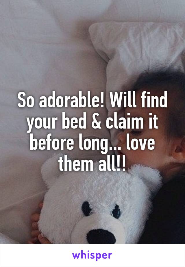 So adorable! Will find your bed & claim it before long... love them all!!